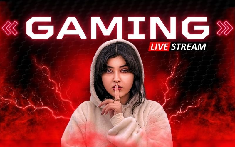 youtube gaming niche