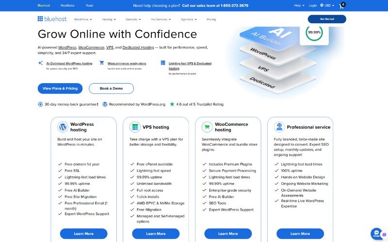 bluehost landing page